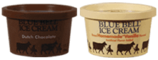 Vanilla & chocolate individual ice cream cups served inside our game truck birthday party's