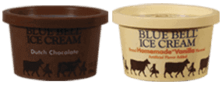 (12) ICE CREAM CUPS