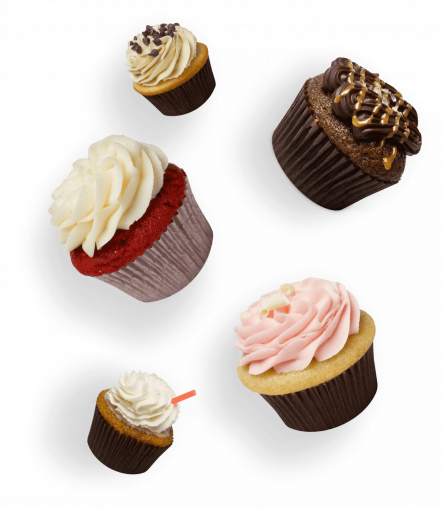 (5) Gourmet Cup Cakes